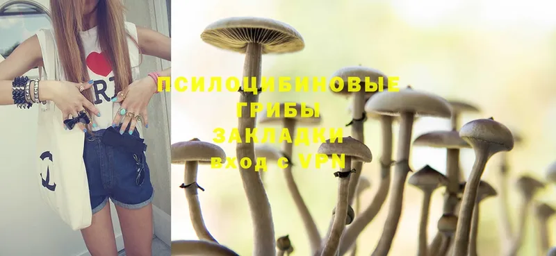 Псилоцибиновые грибы Psilocybine cubensis  мега зеркало  Куровское  наркошоп 